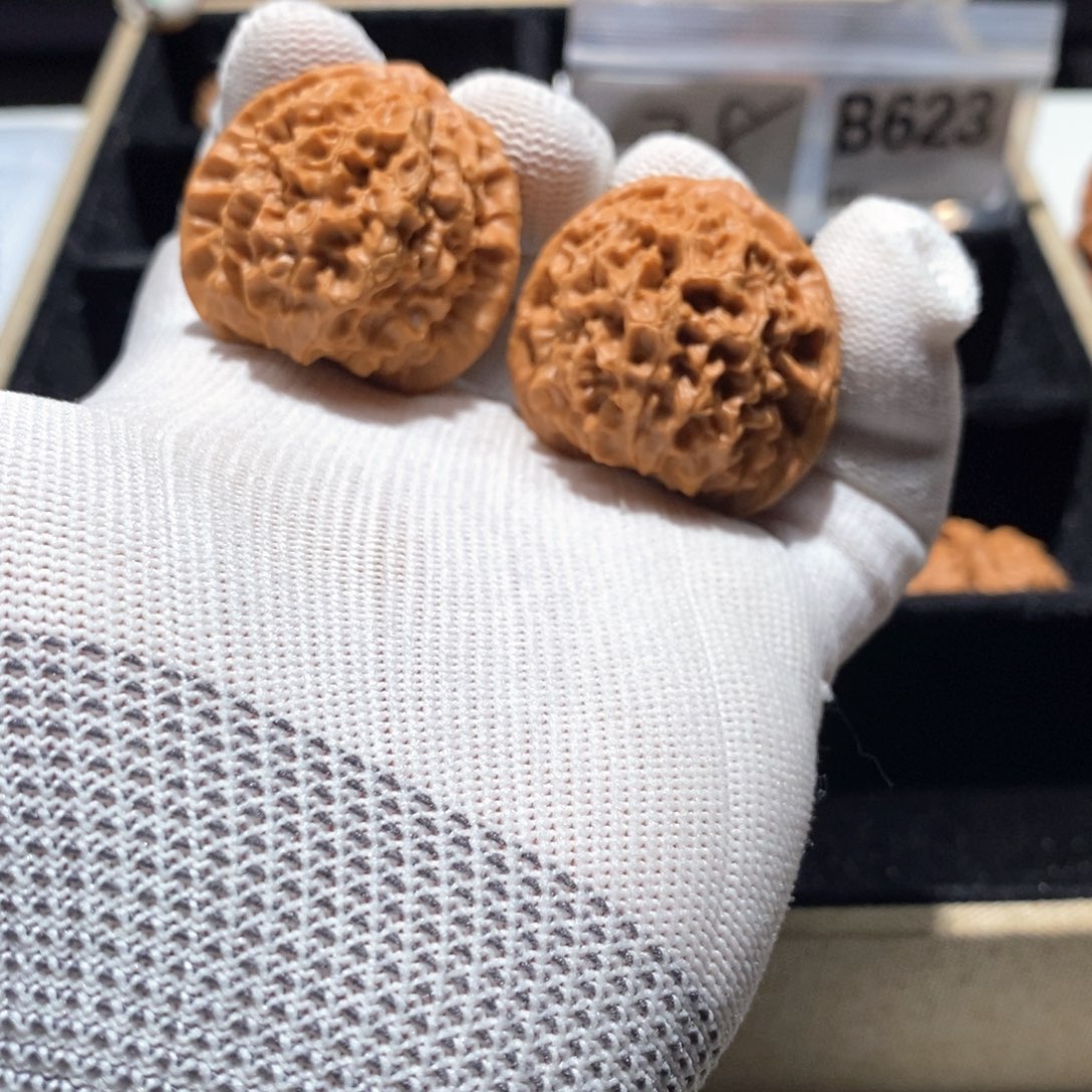 把件文玩核桃B623鱼子纹38（全）