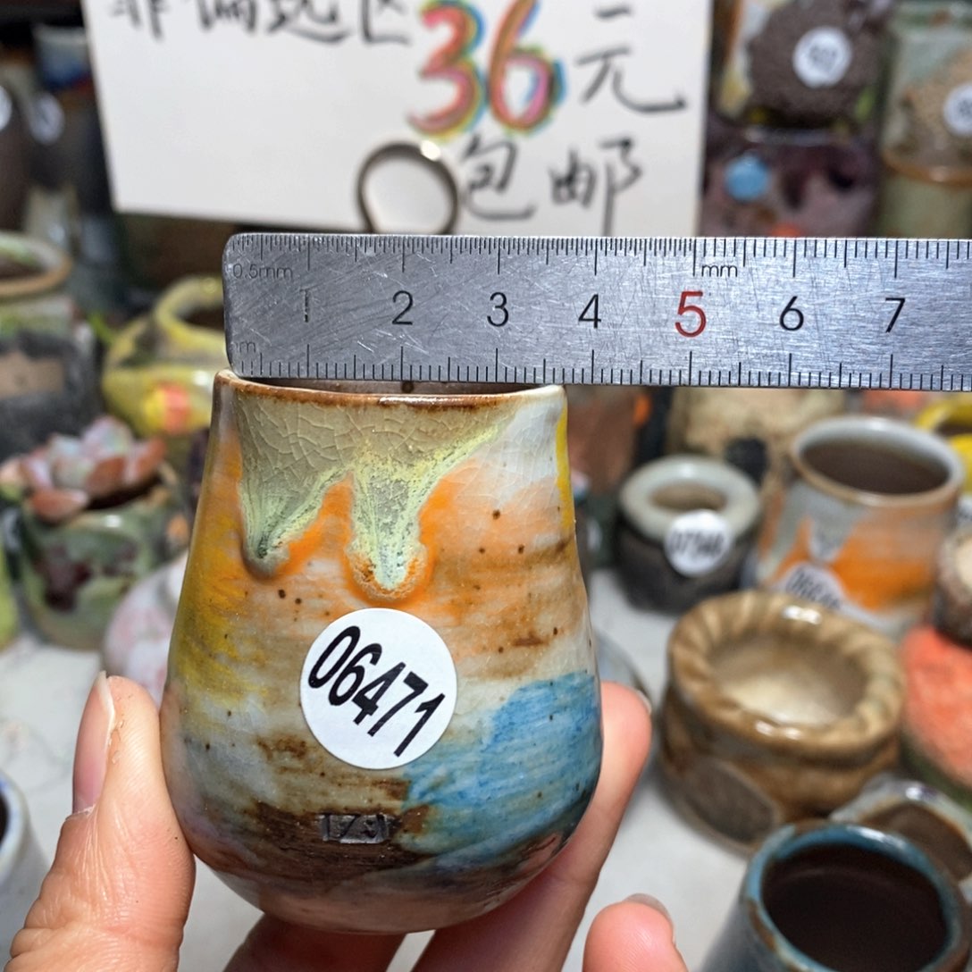 花盆拍5送一个小礼物