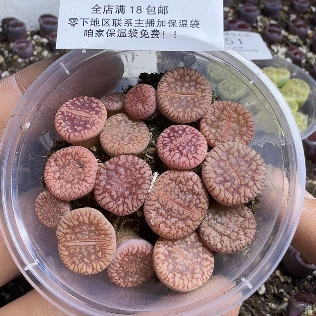 1352 哈哈哈哈哈哈哈哈哈