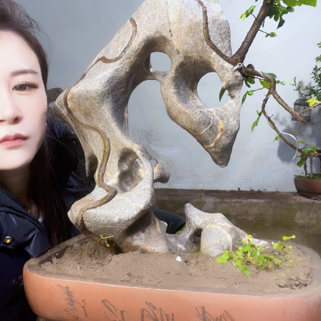 十***)无花朵兔兔图兔兔中央音乐学院