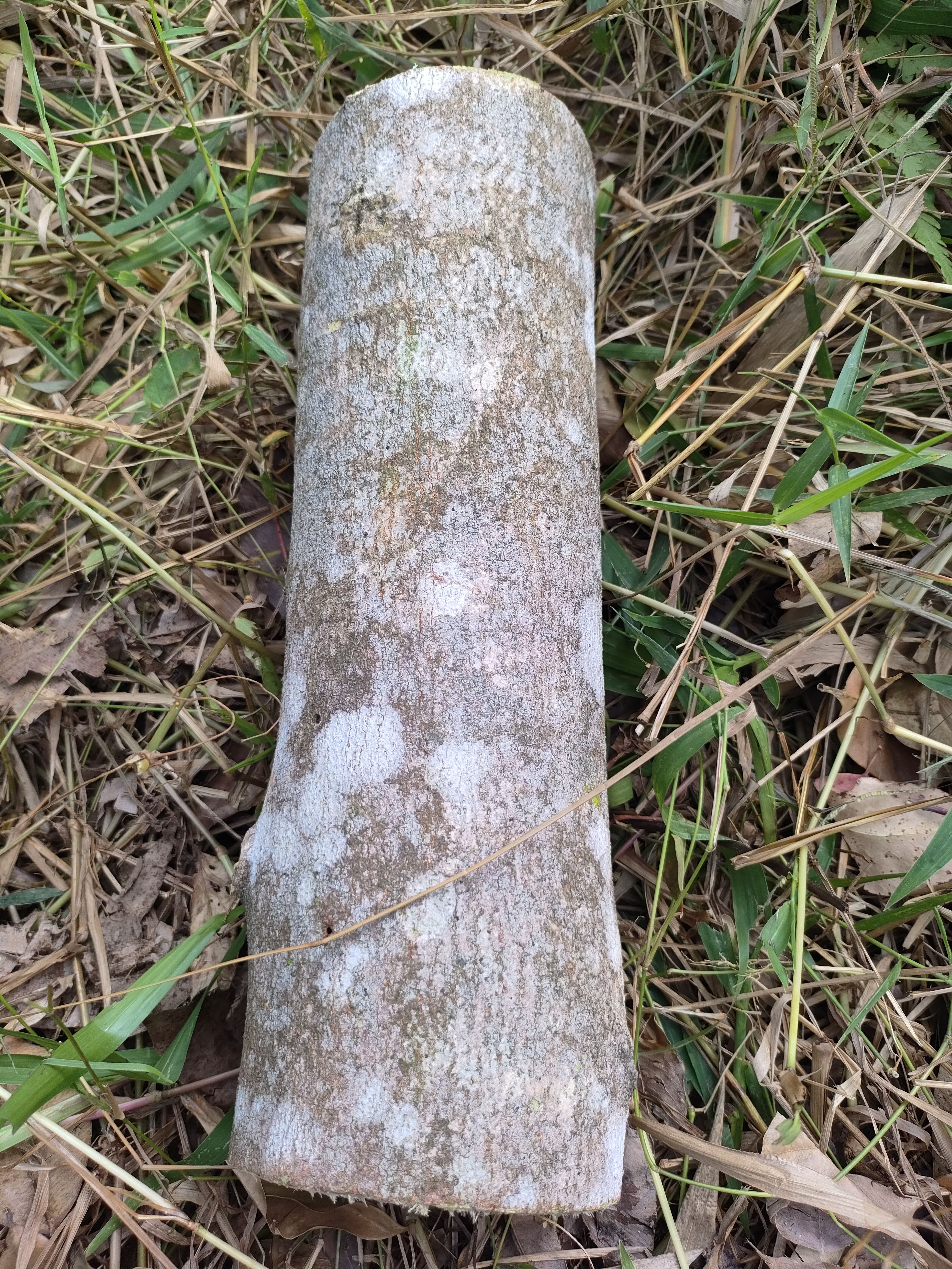 香头摆件 原木摆件 原木木段