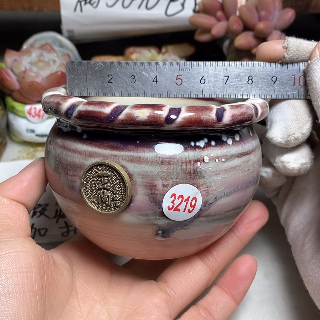 红陶处理的，处理