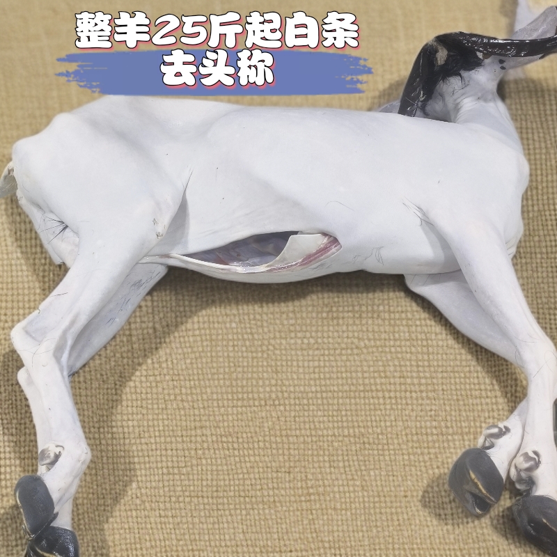 【整羊25斤起白条去头称】100%腿排新鲜现宰切块发货顺丰冷链包邮