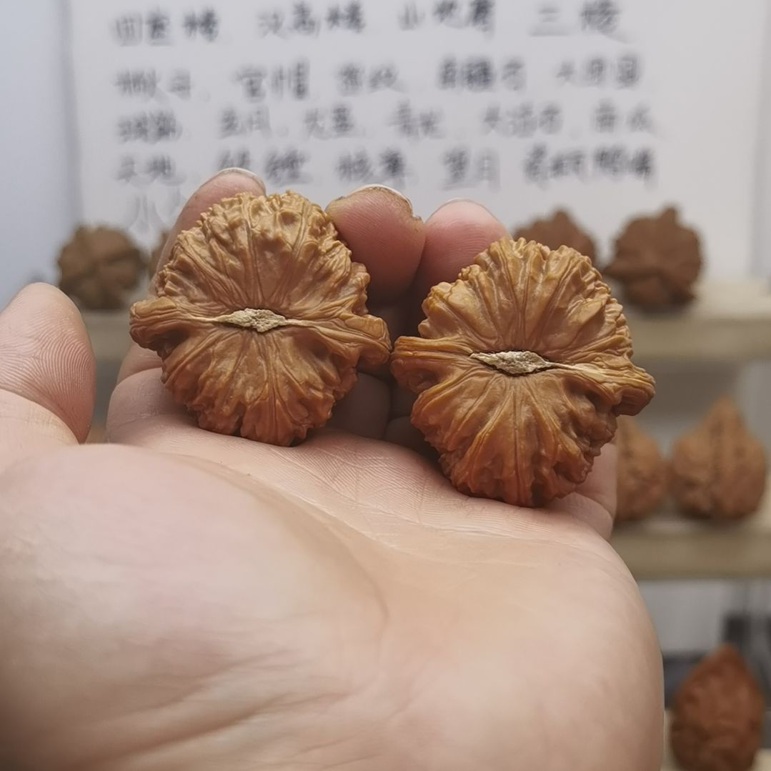 .***.白狮子核桃  文玩核桃