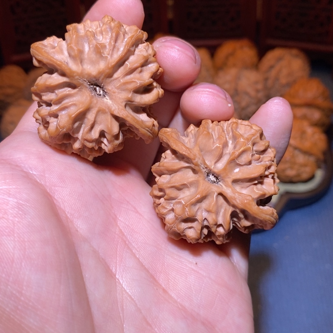 柴***人41尺 全品白茬 十字底 原桩苹果