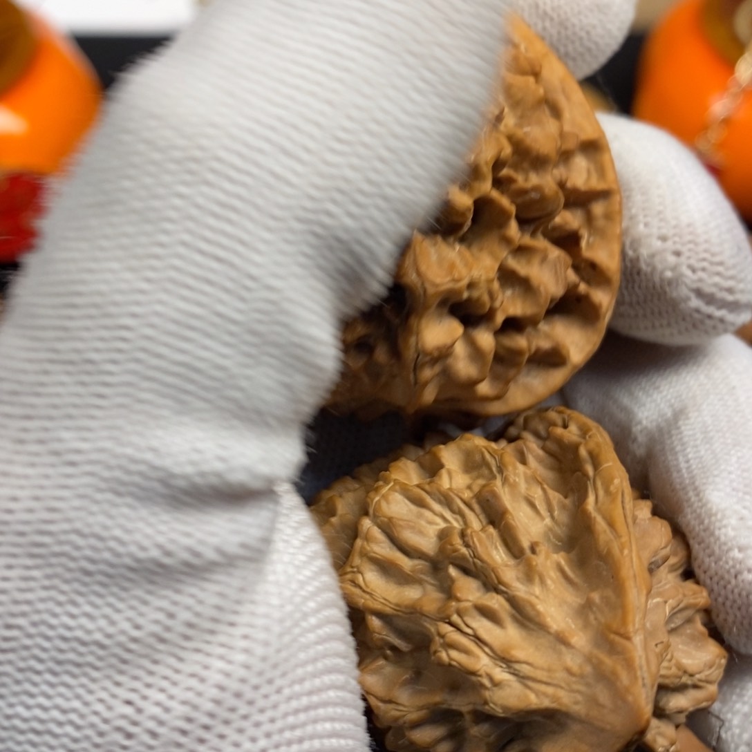 十****揍秦岭南侧和东北的山