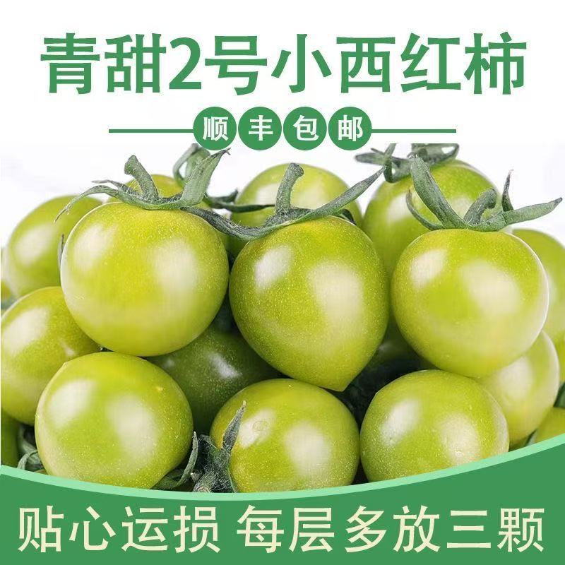2寿光特产青甜2号绿色圣女果小番茄现摘新鲜水果酸甜可口