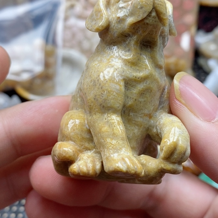 硅化珊瑚（珊瑚玉）颈饰未镶嵌