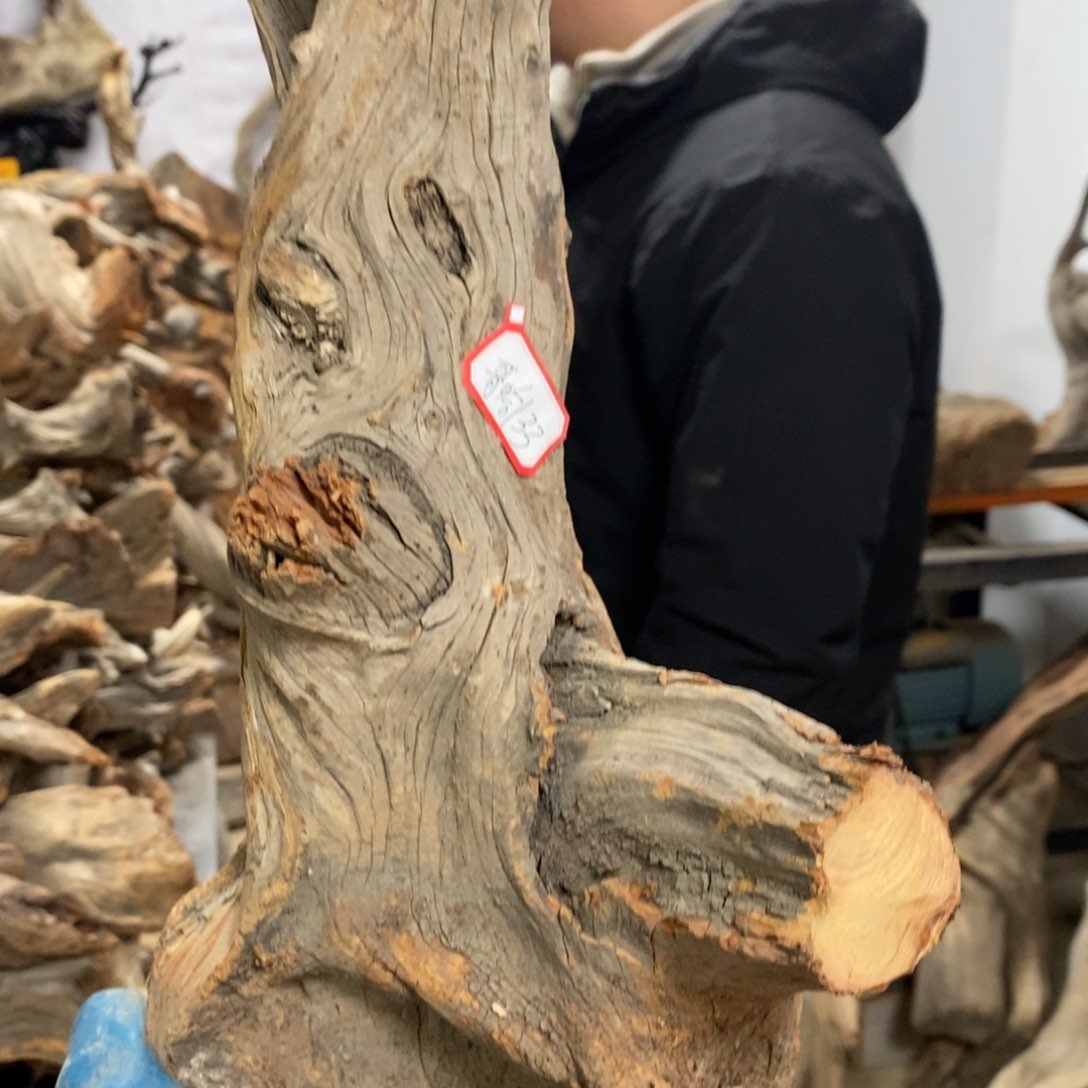 柏木（崖柏）哥***哈我们都是好孩子