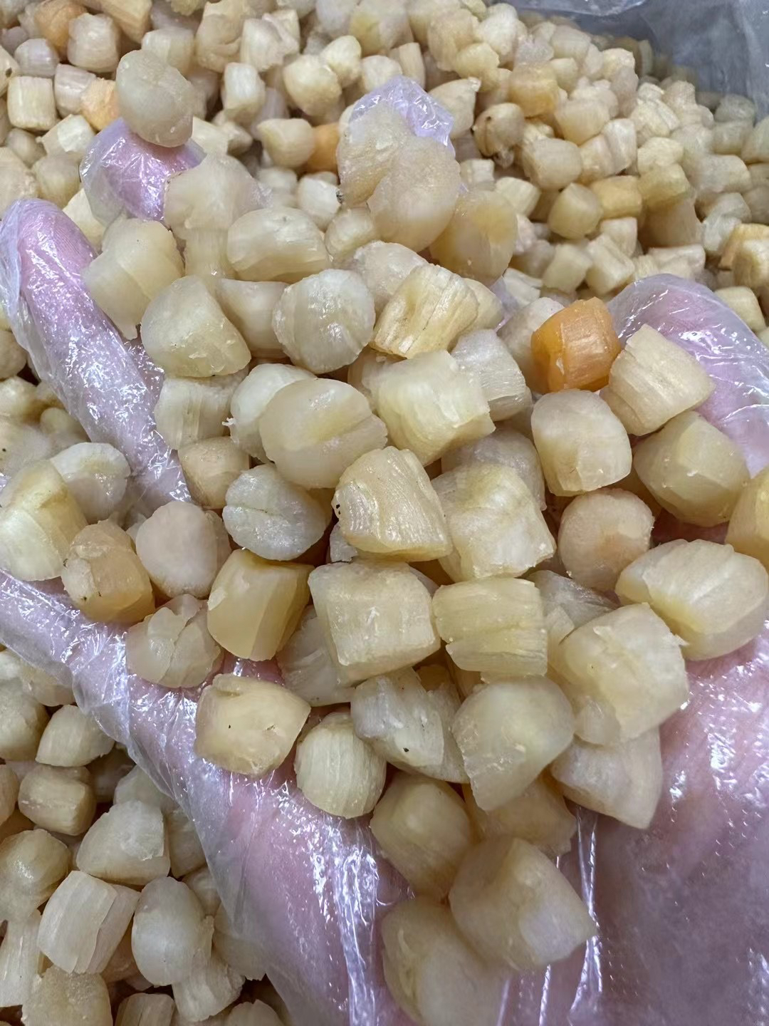 干贝瑶柱颗粒饱满干货海鲜干扇贝肉元贝淡干煲粥煲汤孩子孕妇多喝