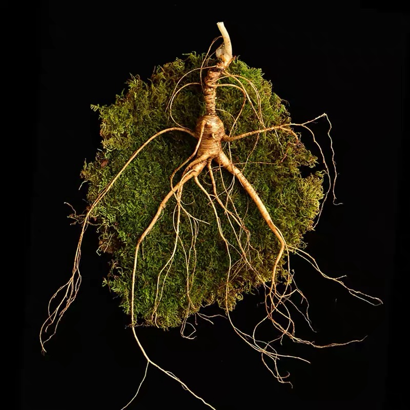 24种组合泡酒原料滋补养生泡酒专用【代拍链接】15斤瓶