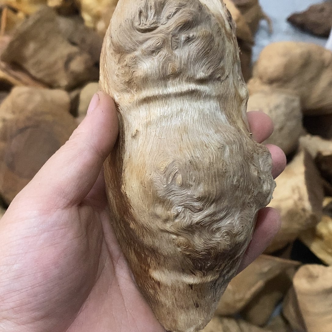 上***水荔枝木荔枝木原料