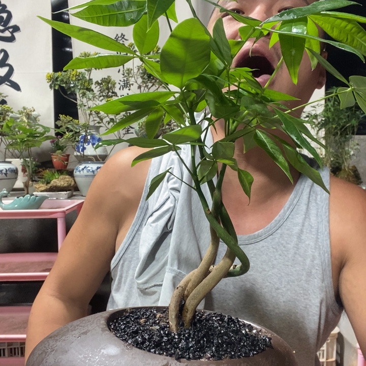 无花朵退款拉黑拉黑50