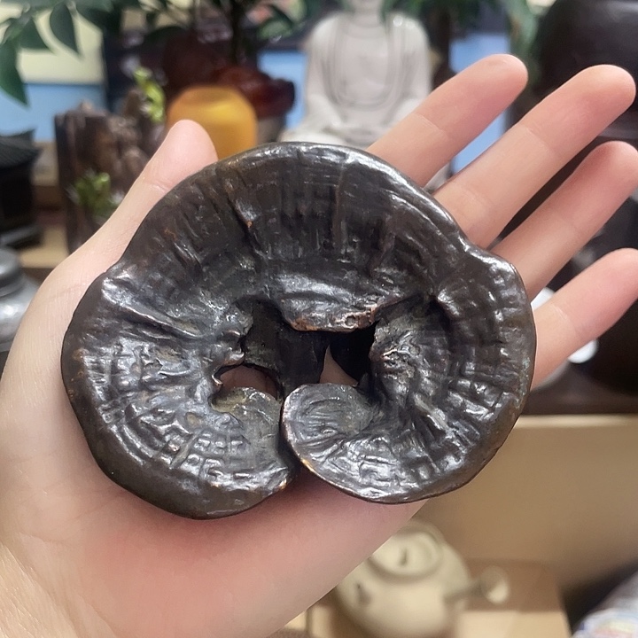 紫砂天香阁好物优选推荐