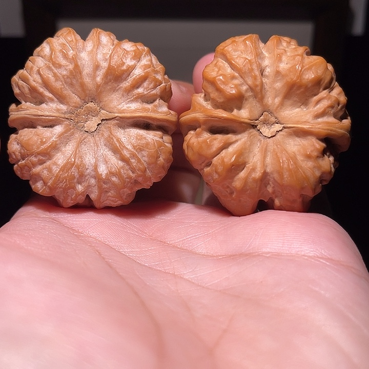 B***f把件核桃蛤蟆头  