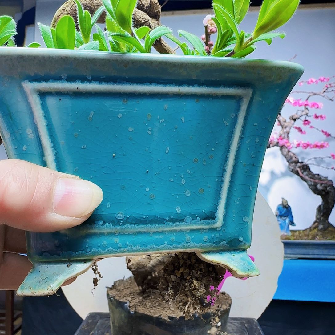 无铅玻璃好*?g h h j k k