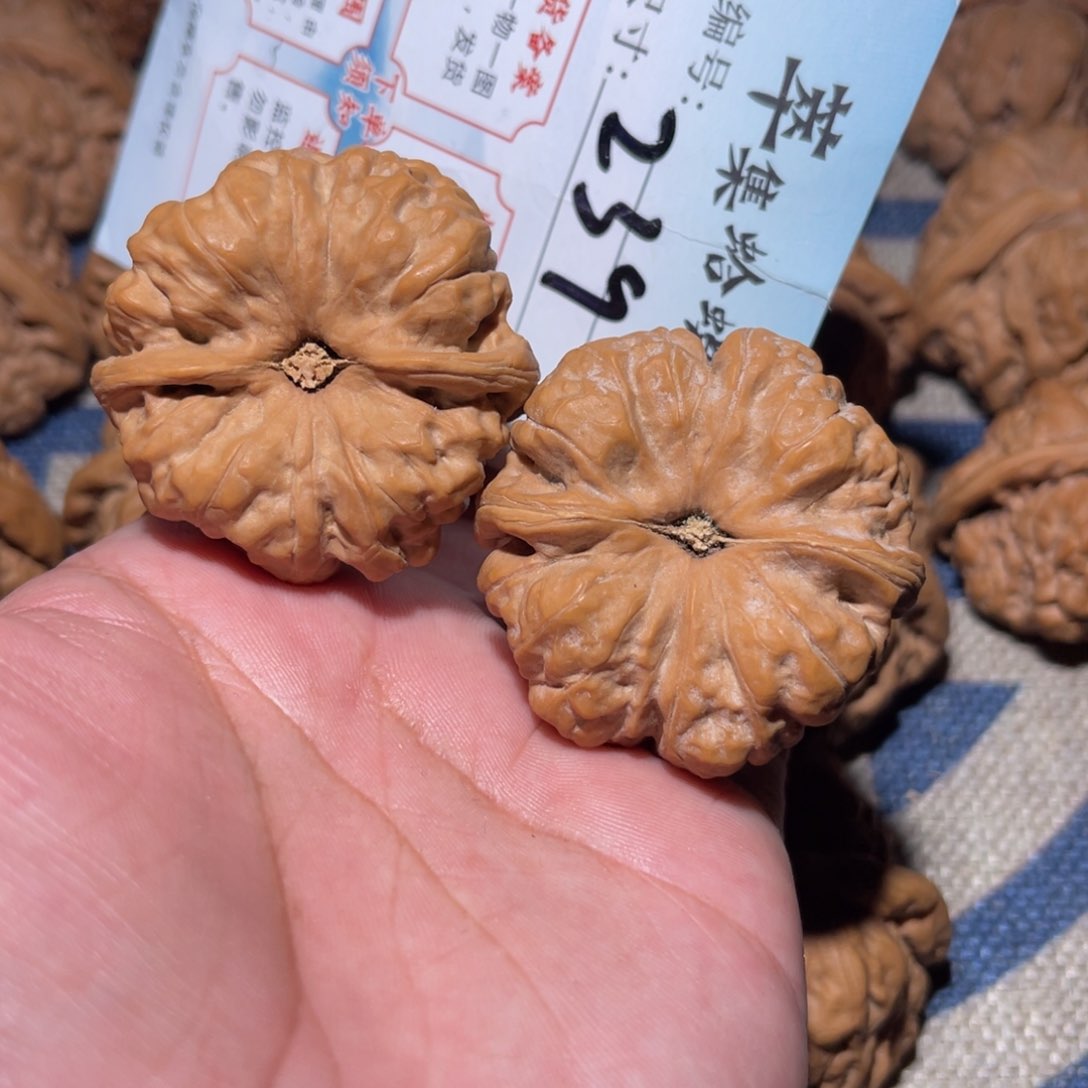 文玩核桃把件耳**儿文玩