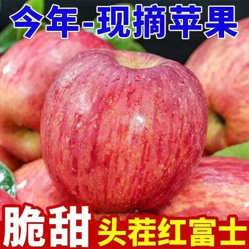 山西糖心红富士苹果 脆甜多汁 新鲜采摘产地直发