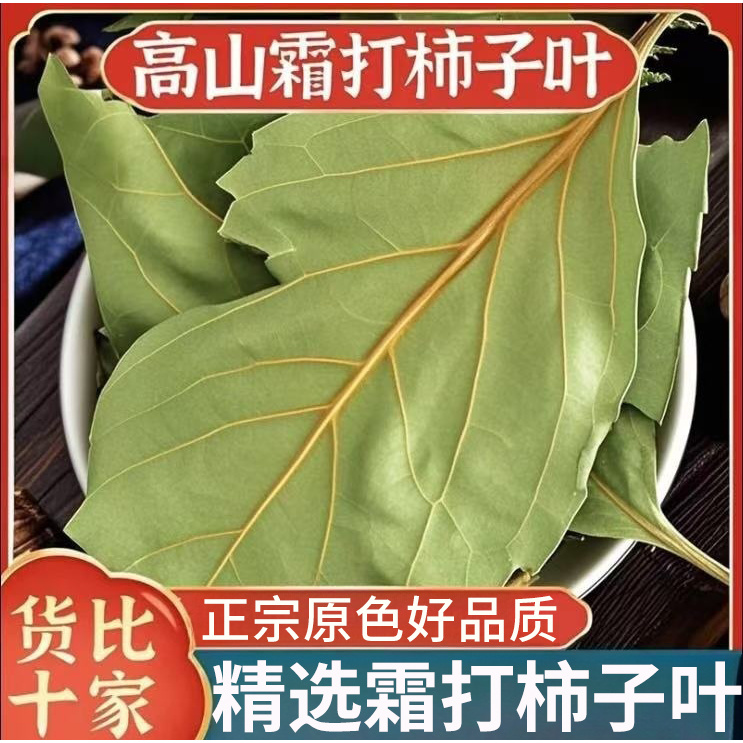 干柿子叶正品新鲜柿叶茶霜后柿子叶霜降后柿子叶泡茶煮水喝的功效