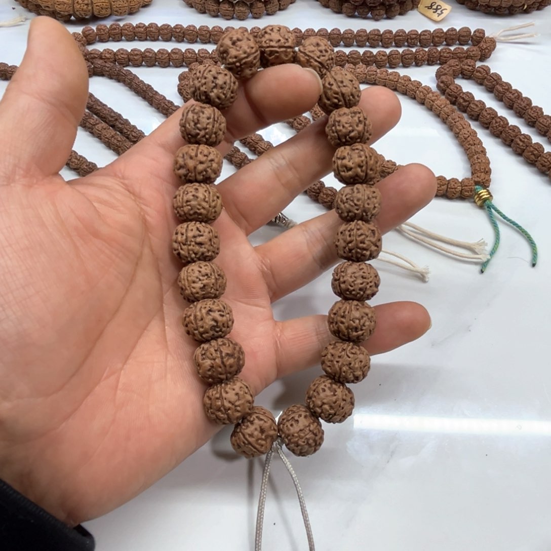 金刚菩提手串纯血老树王