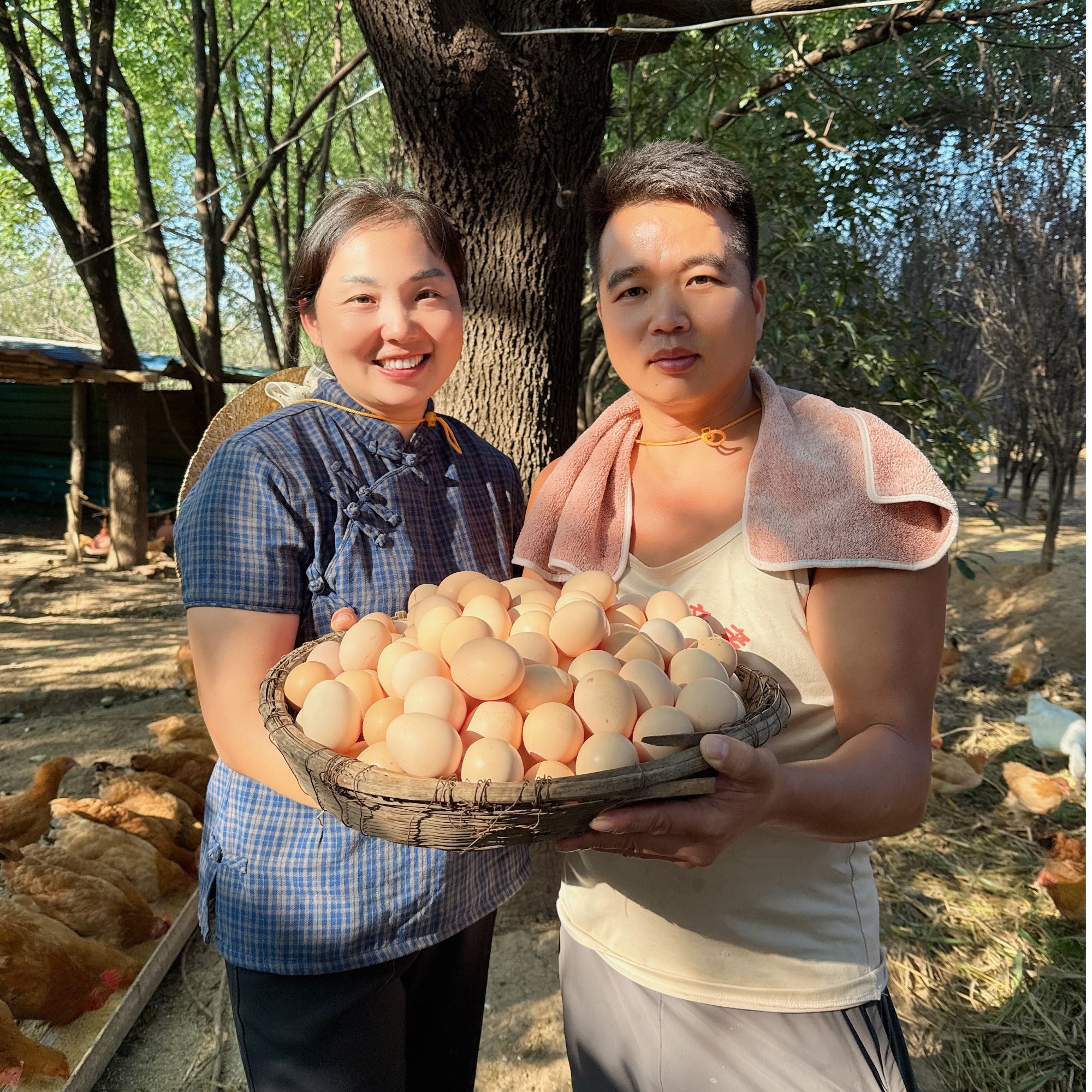 【小婉表弟专属】 天然散养真正农户散养土鸡蛋跑山溜达鸡现捡现发