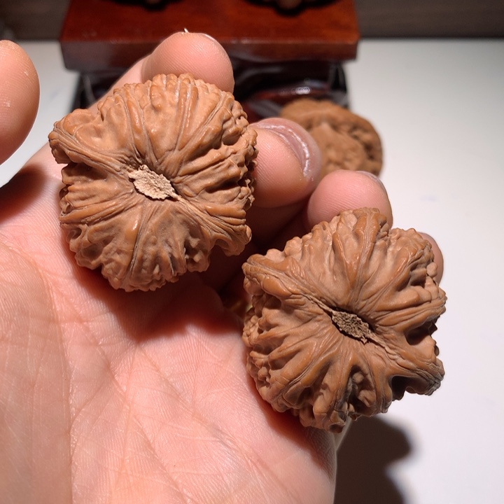 把件文玩核桃磁*应白狮子