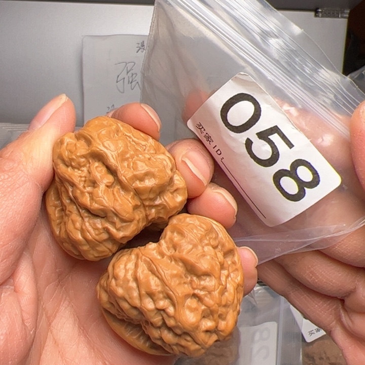 核桃058号40尺45肚50克