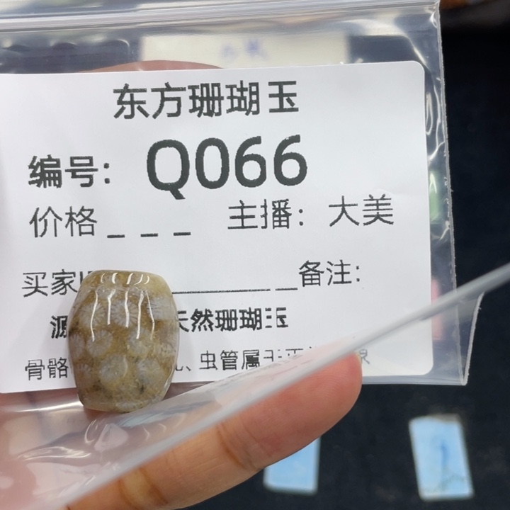 水***凉颈饰合金硅化珊瑚（珊瑚玉）