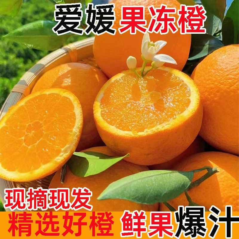 爱媛果冻橙5公斤毛重皮薄肉多汁水多-京东包邮全新疆包邮
