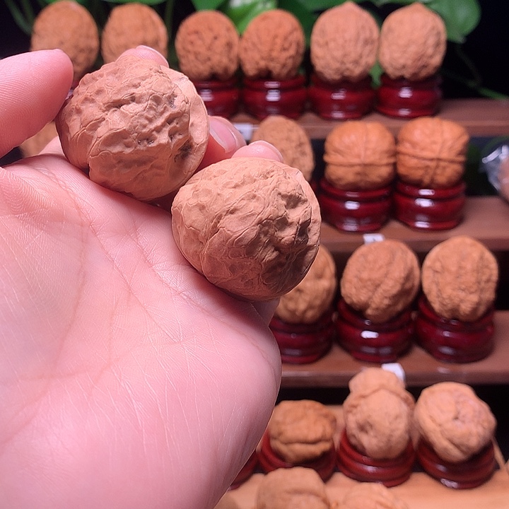 山***间桃核吊坠鹦鹉蟾40尺寸