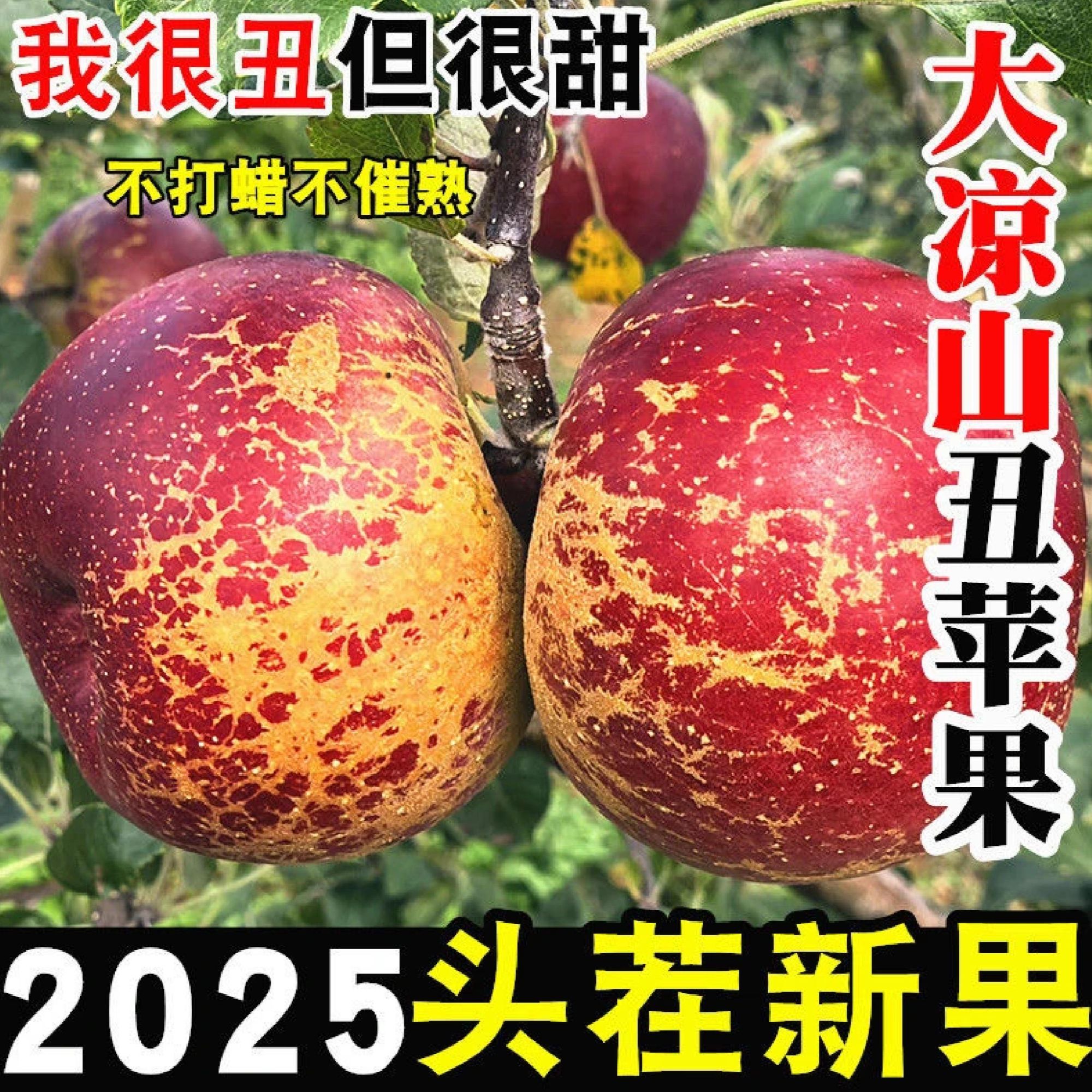 大凉山盐源丑苹果当季现摘脆甜多汁果香浓郁新鲜糖心苹果LM