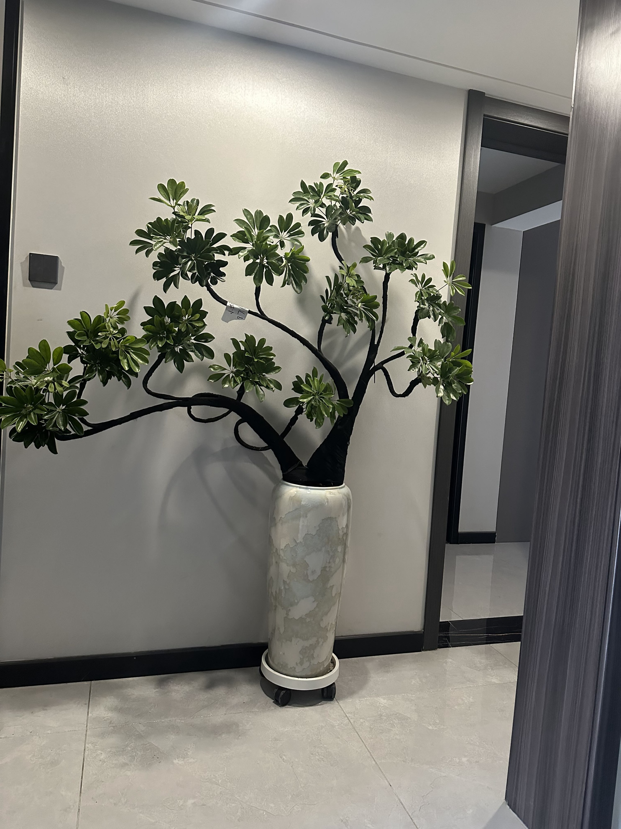 造型鸭脚木大型室内客厅观叶绿植造景绿植好养绿植网红款造景绿植