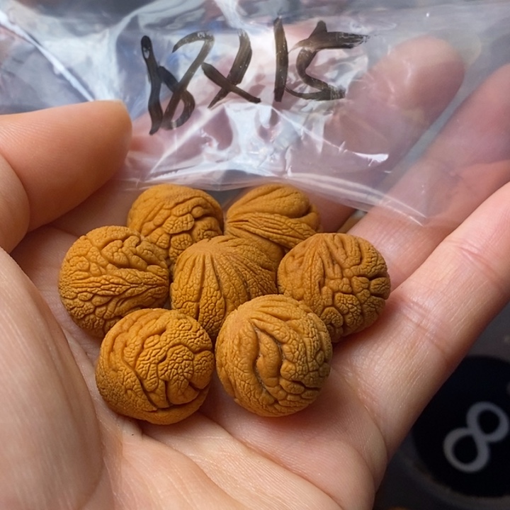 手串文玩核桃秦岭野生龙纹桃核18