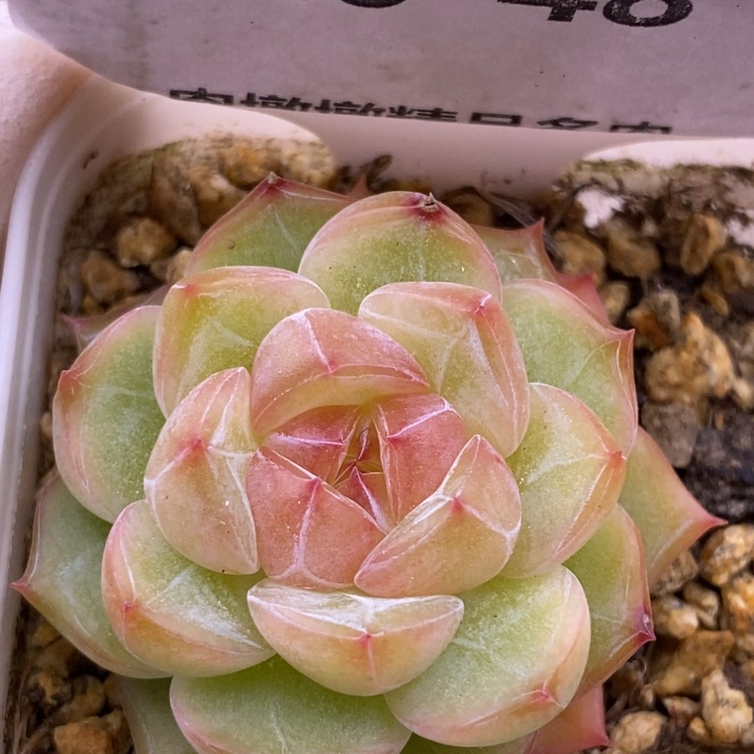 【闪购商品】20-48
