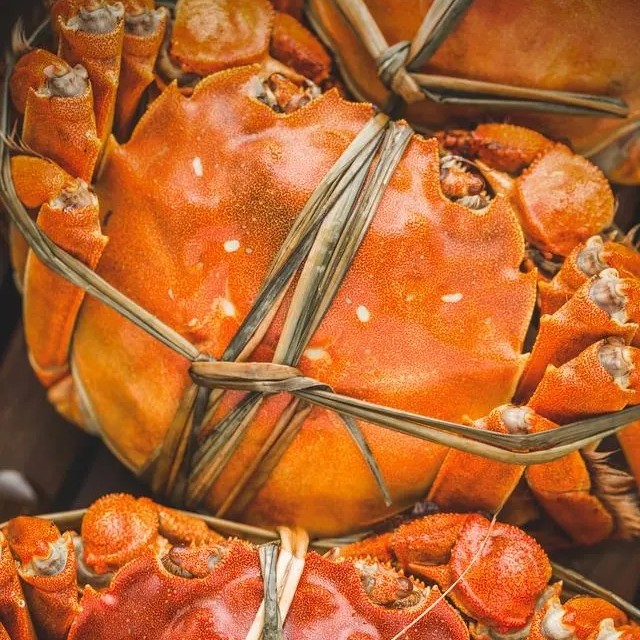 精品三两母蟹65一斤