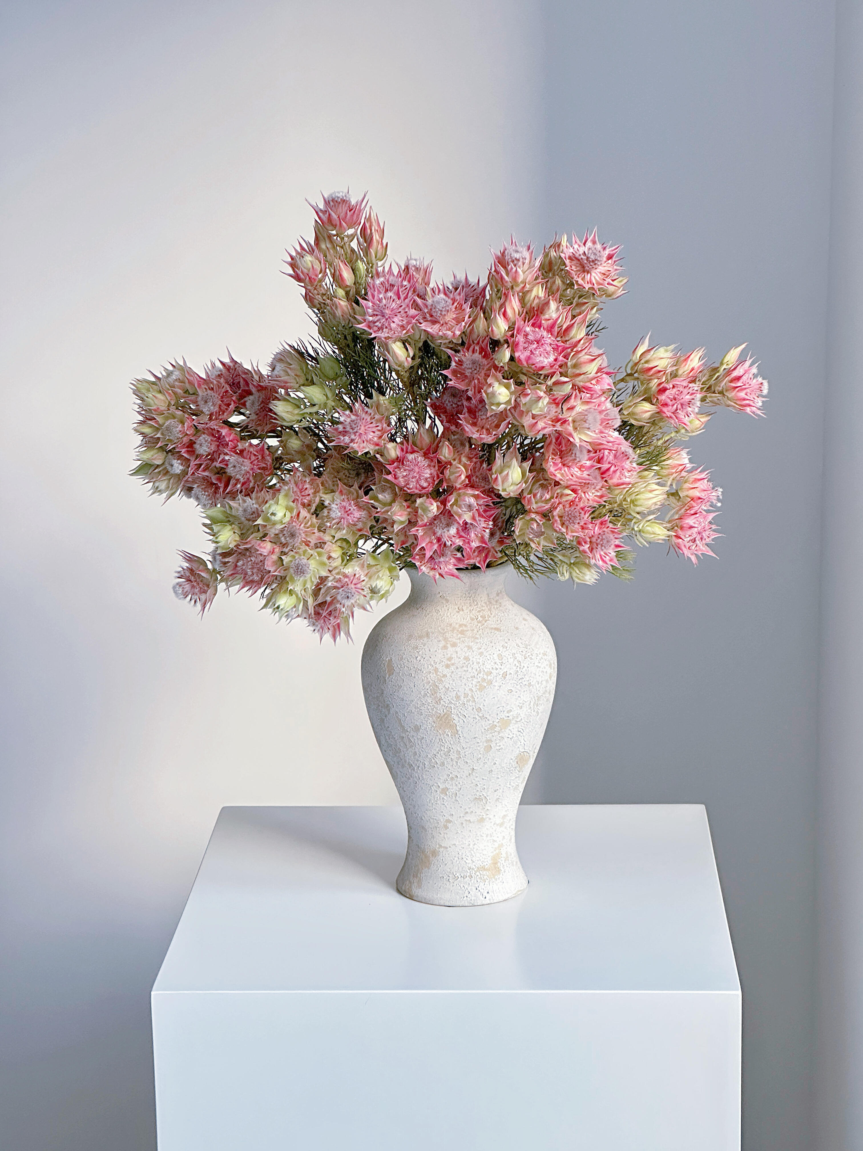 新娘花鲜切花婚礼手捧花云南直发家用插花高级小众花材