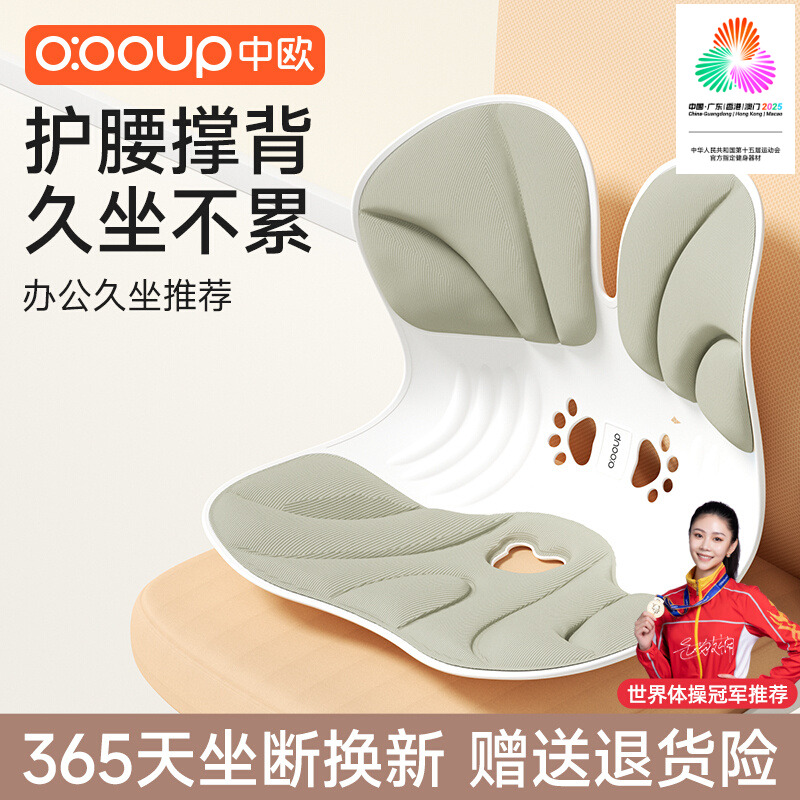 中欧新款护腰坐垫坐姿椅矫正坐姿久坐腰靠办公室人体工学腰部支撑