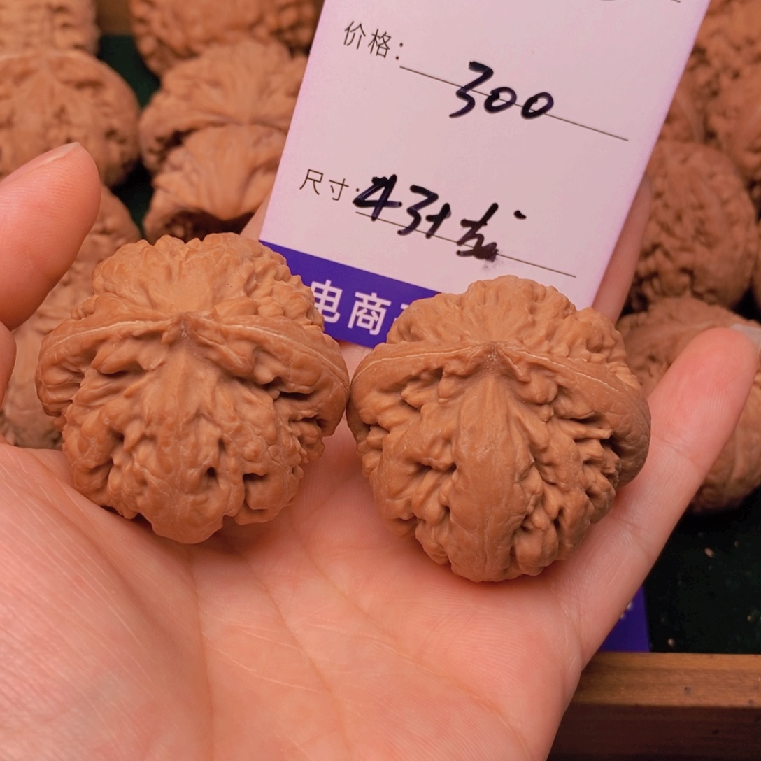 *****文玩核桃霸王龙核桃