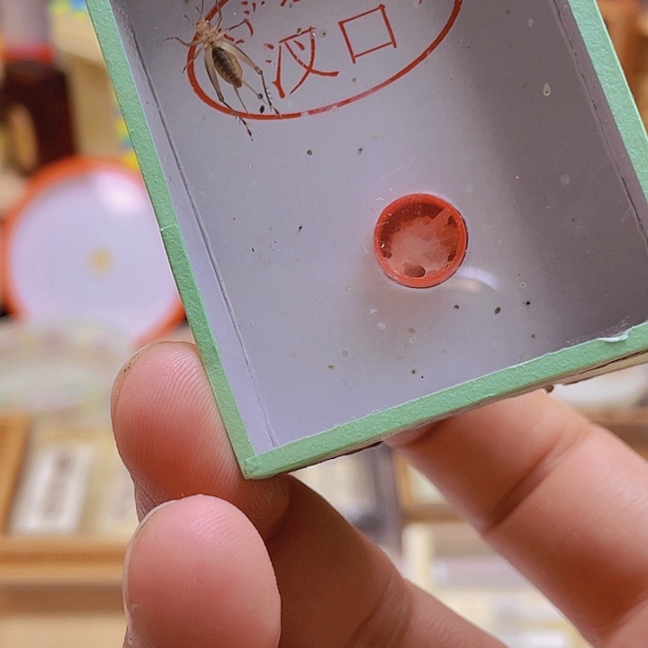 永***玩大黄2啊啊啊啊啊啊啊