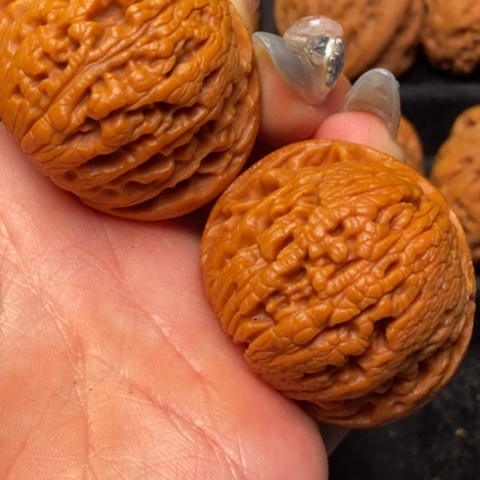 文玩核桃把件秦岭山脉核桃