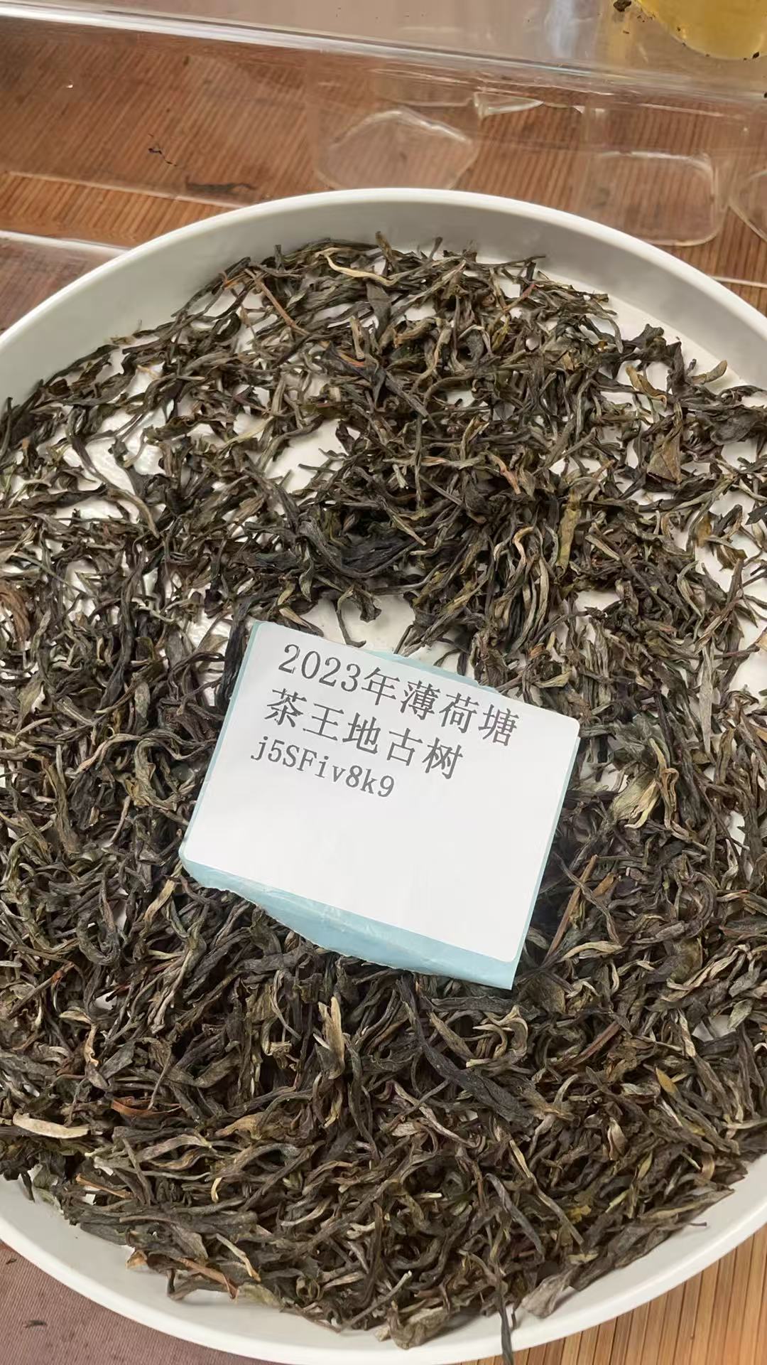 2023年薄荷塘茶王地古树散茶（生茶）j5SFiv8k91519-888