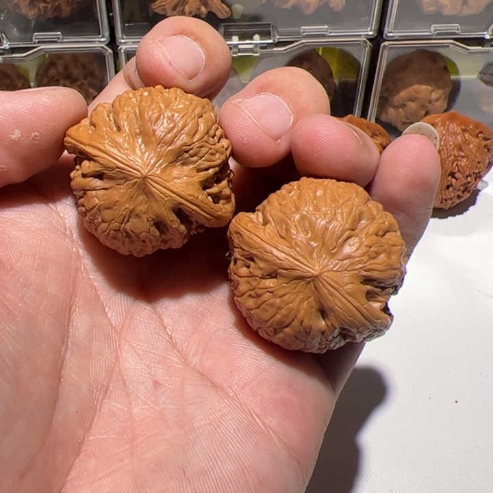 H***_铁锤妹妹真的好可爱好了