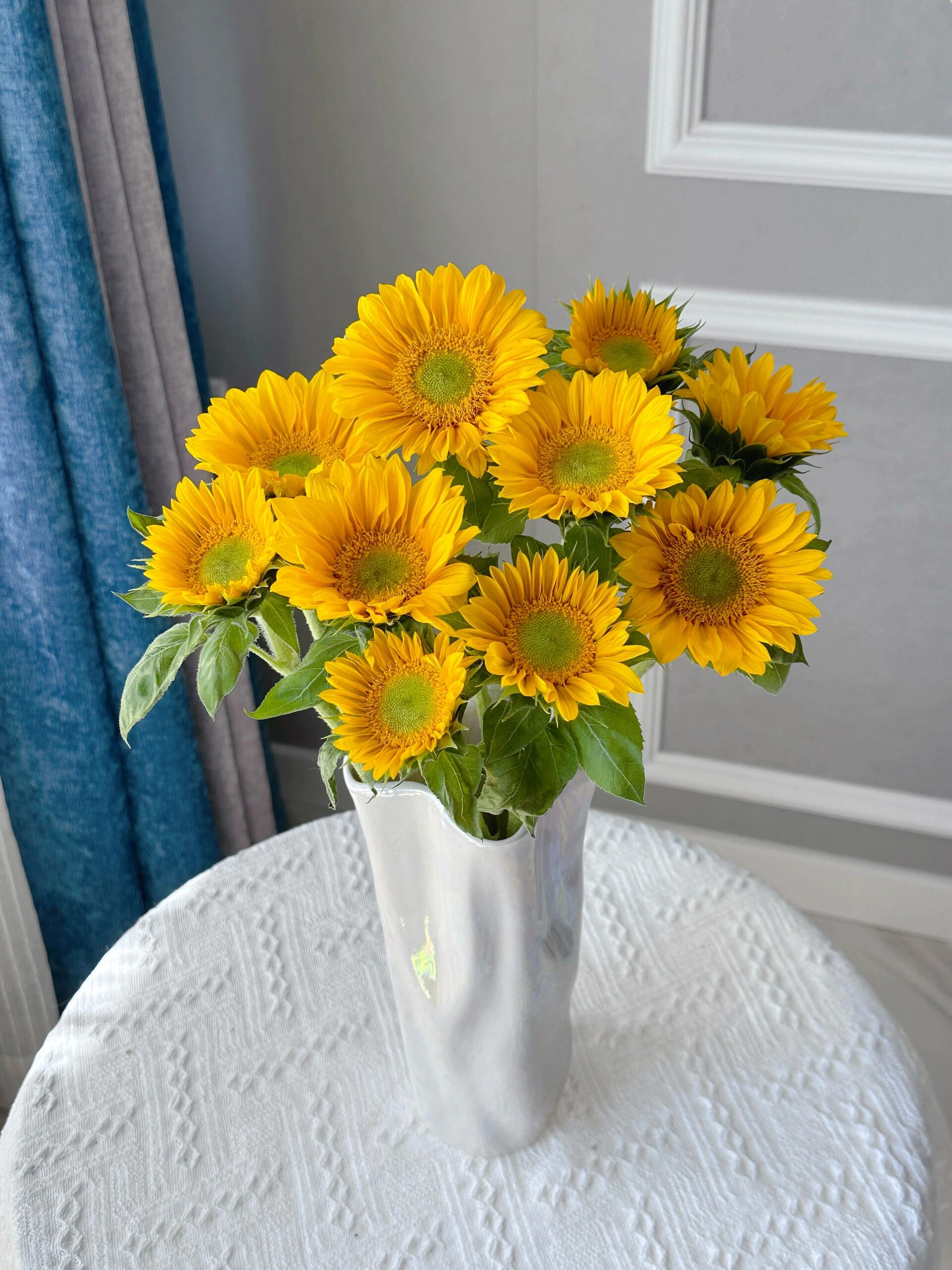 【绿心向日葵】鲜切花 水养鲜花 任意两单升级顺丰冷链