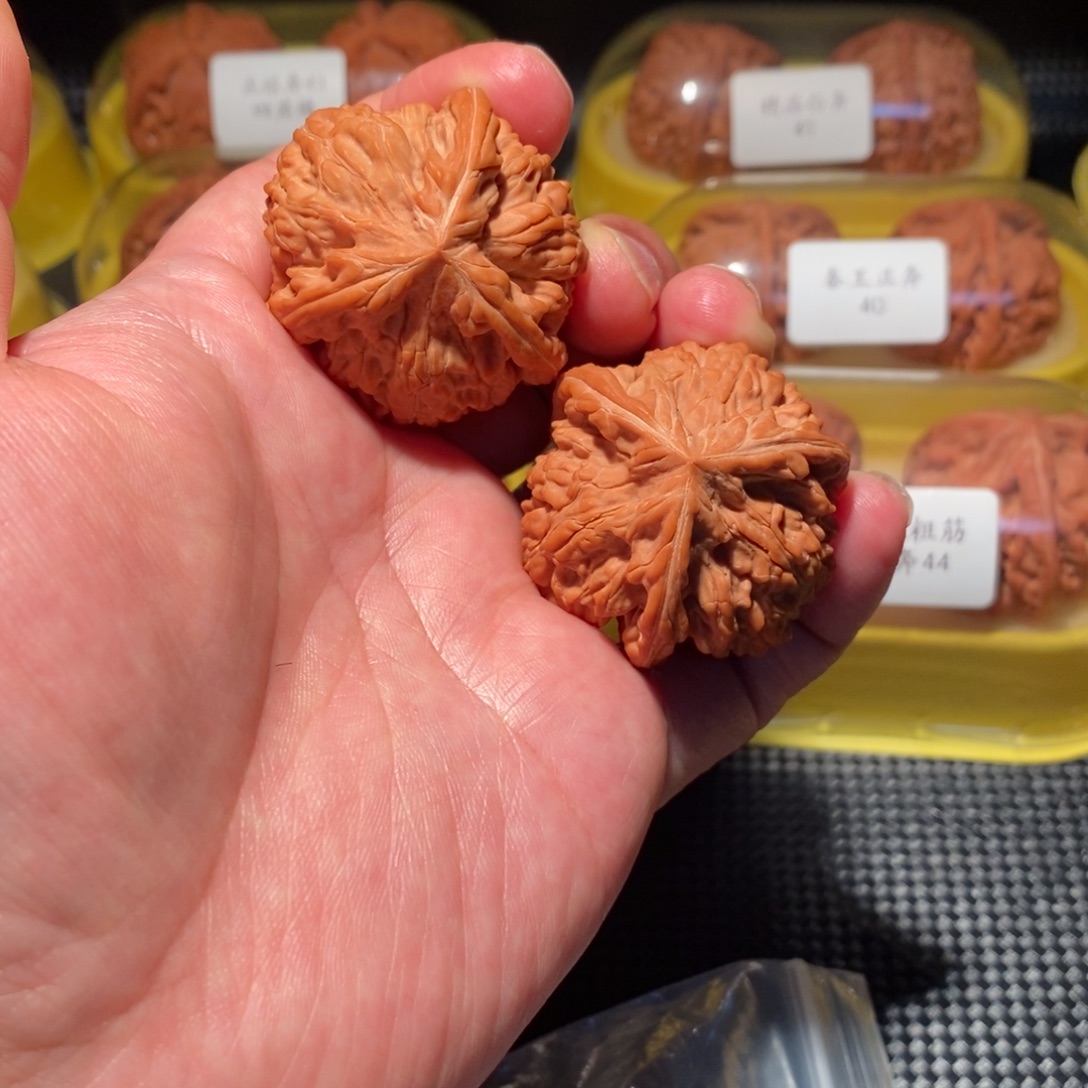 路***儿41御龙粗筋正球奔精品对