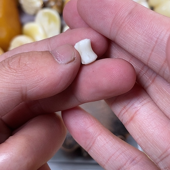 琥珀裸石未镶嵌平*我