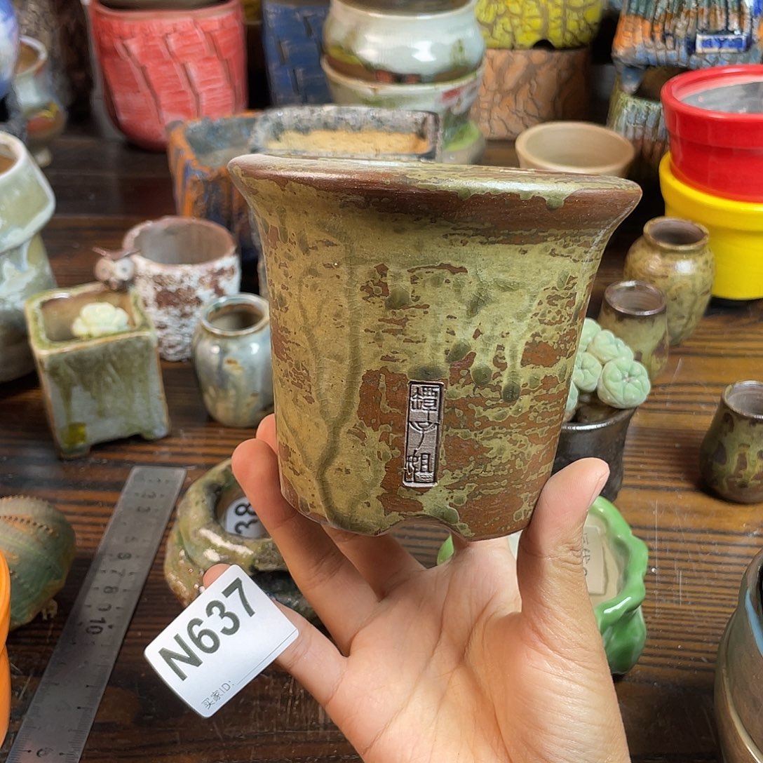 坛子姐花盆 双十二限时福利！默认微次！