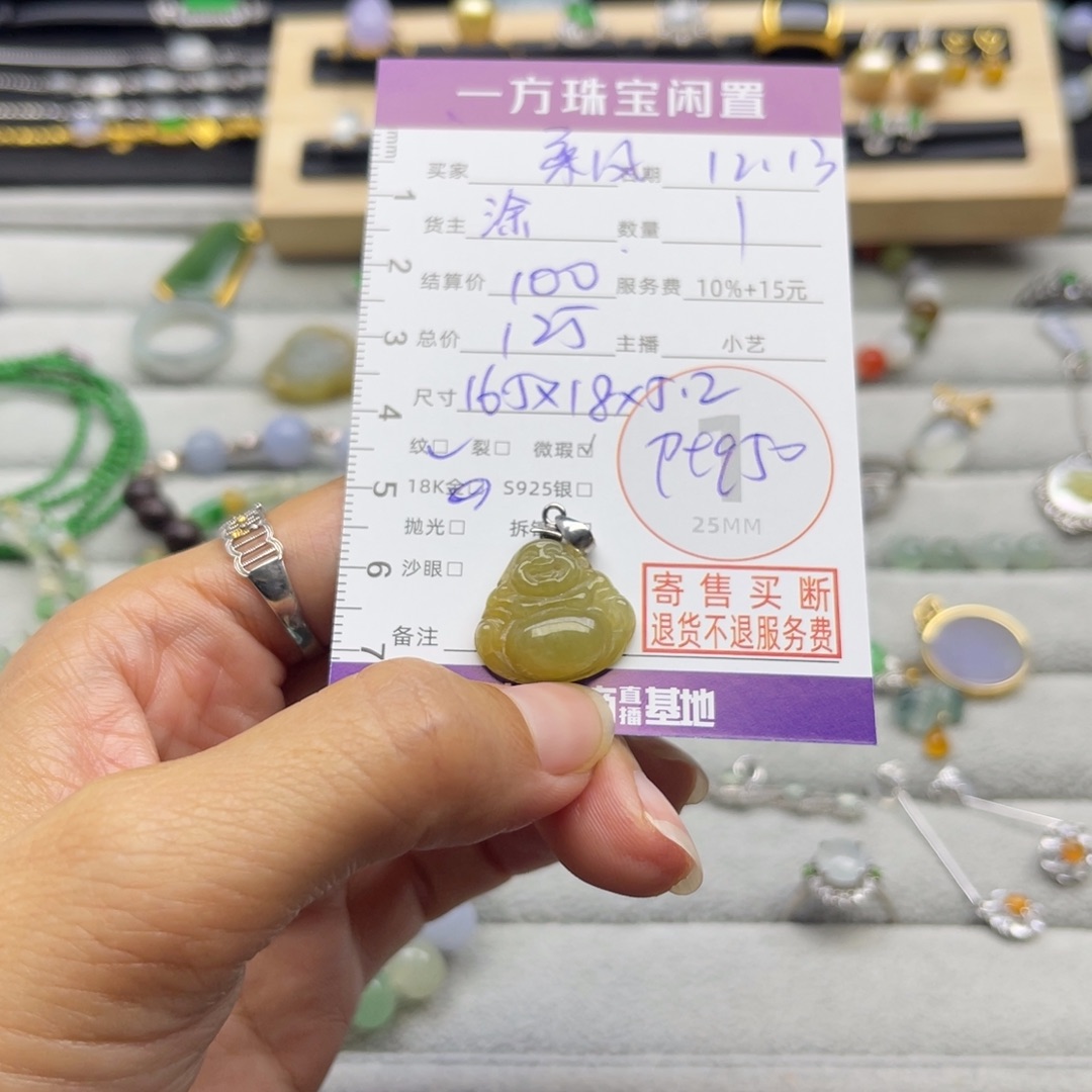 柔***风翡翠铂Pt950镶嵌颈饰