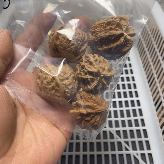 ∰***者文玩核桃吊坠不退不换