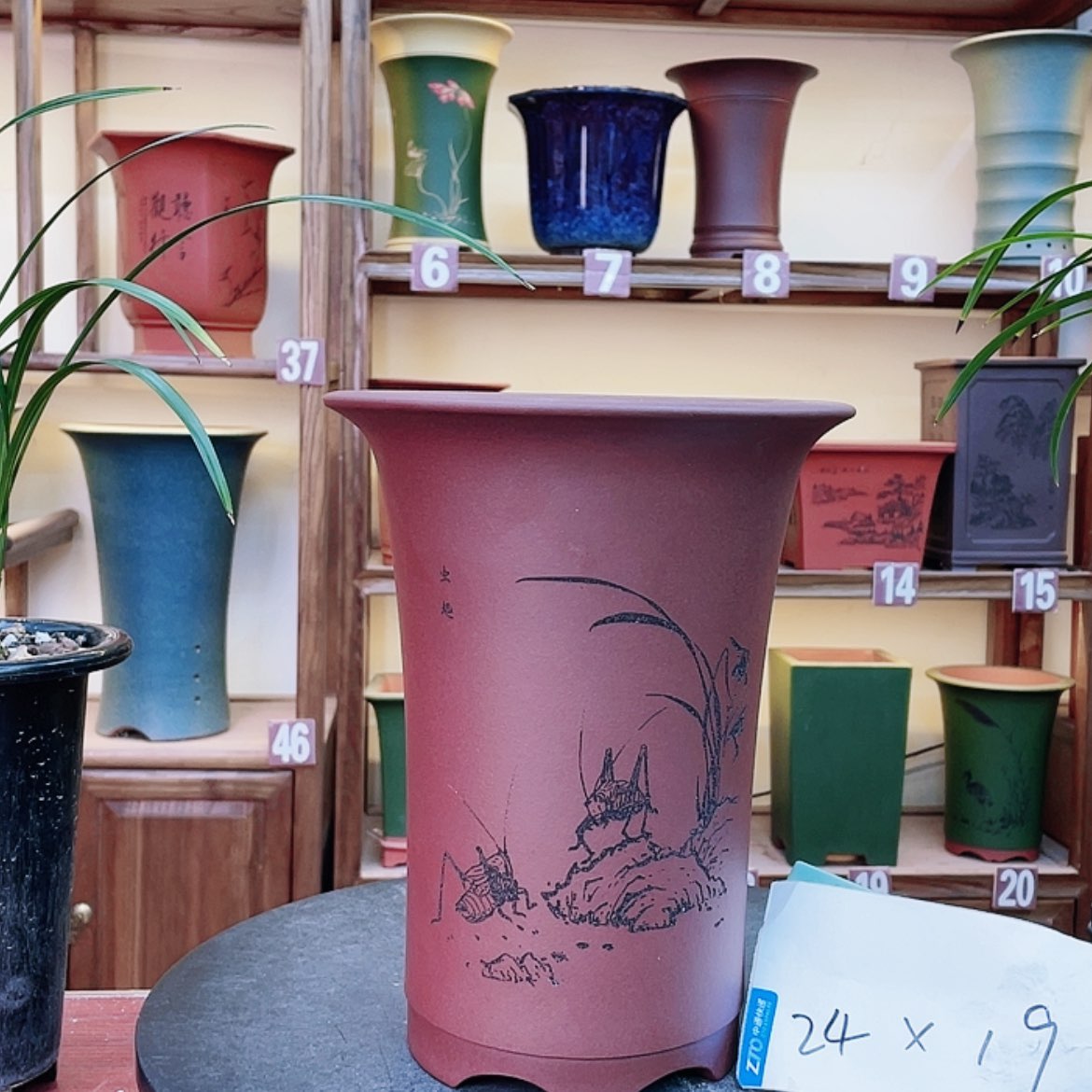 【闪购商品】紫砂花盆兰花455555455555529