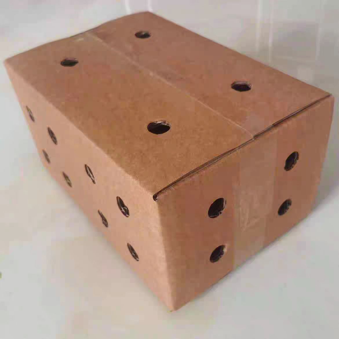 环保透气保温活禽快递箱 可折叠储物简约家用免打孔